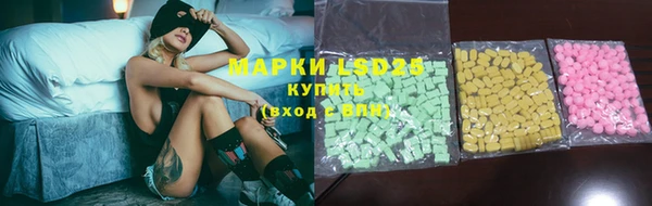крисы Мегион