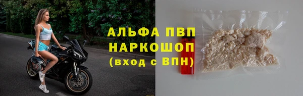крисы Мегион