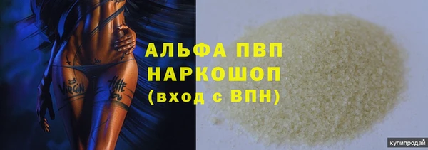 СК Михайловск