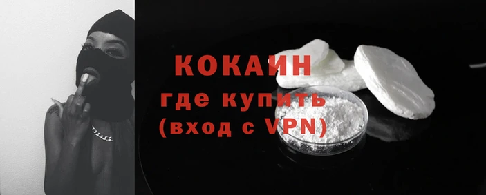 крисы Мегион
