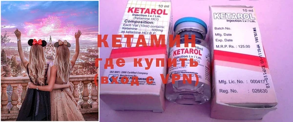 крисы Мегион