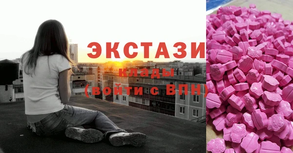 крисы Мегион