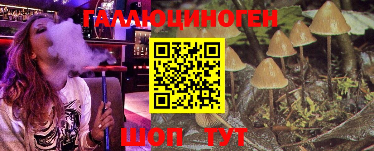 Псилоцибиновые грибы MAGIC MUSHROOMS  Вход с VPN  Братск 