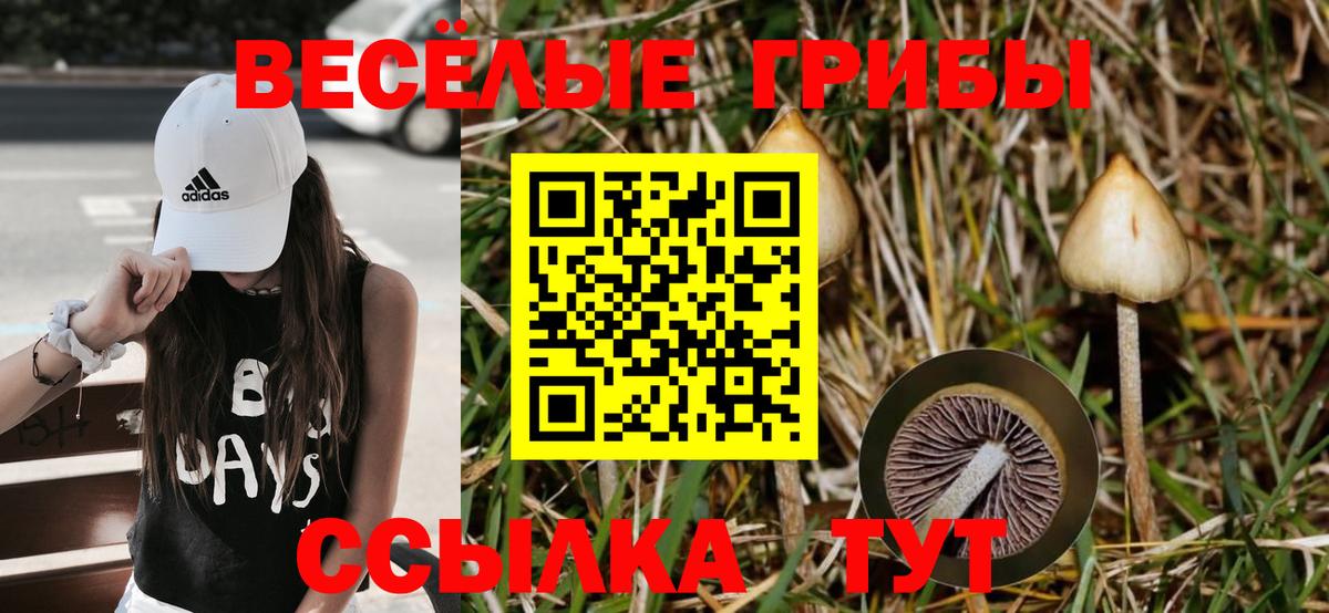 Псилоцибиновые грибы GOLDEN TEACHER  Братск 