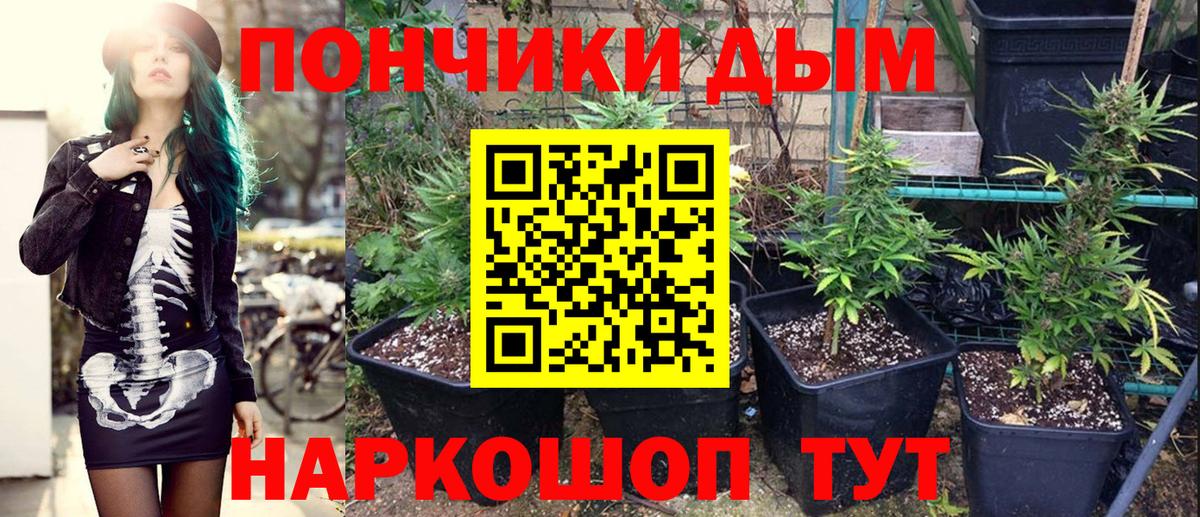 Бошки марихуана тримм  Бошки марихуана тримм  Братск  МАРИХУАНА ГИДРОПОН  Вход с VPN  Канабис индика 